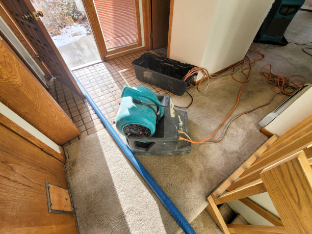  Franklin, OH Water damage restoration Pros