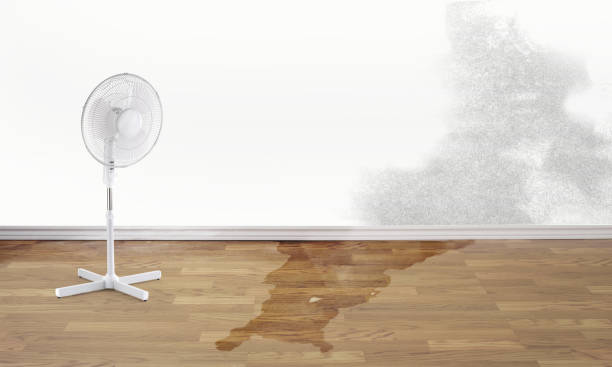 Best Water damage restoration near me  in Franklin, OH