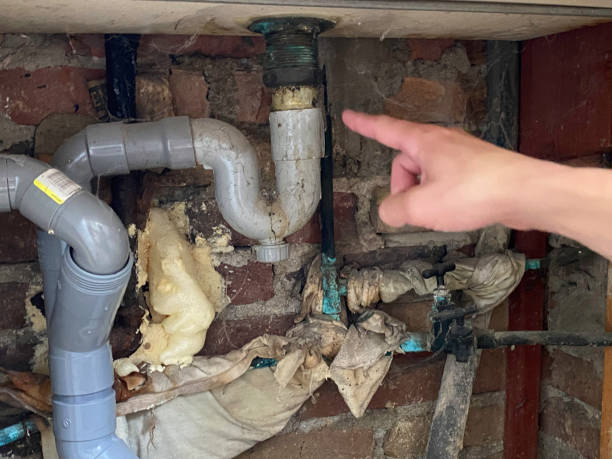 Best Water damage restoration specialists  in Franklin, OH