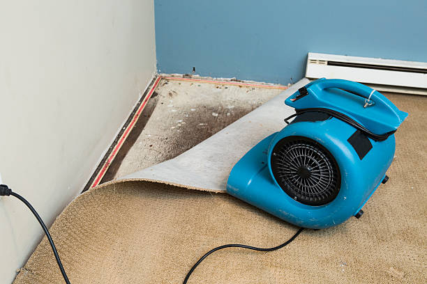 Best Water damage contractors near me  in Franklin, OH